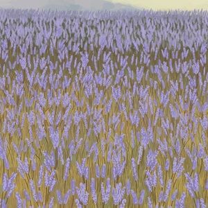 Meet your Posher, Gracelyn